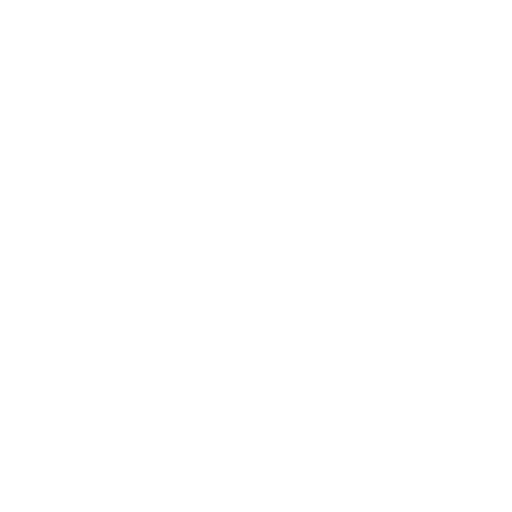 Total Visits Icon